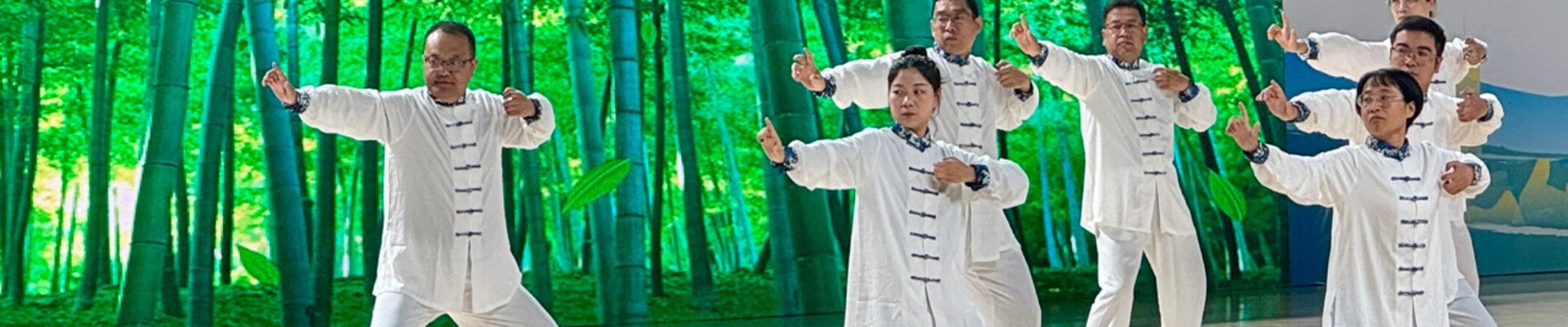 项目案例